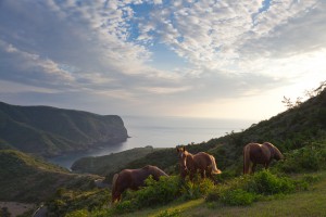 Matengai Cliff 摩天崖