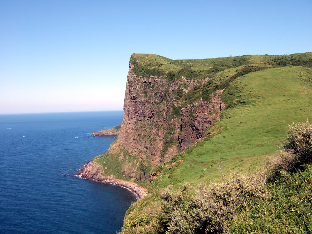 豆知識 | 西ノ島町観光協会